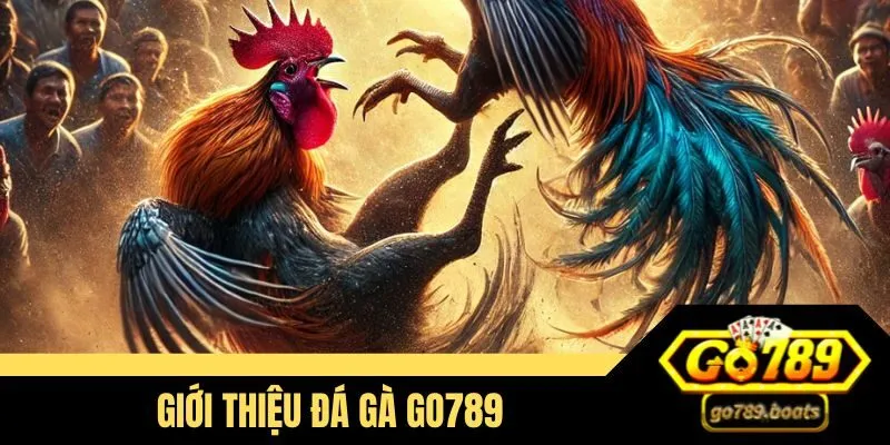 Giới thiệu đá gà Go789